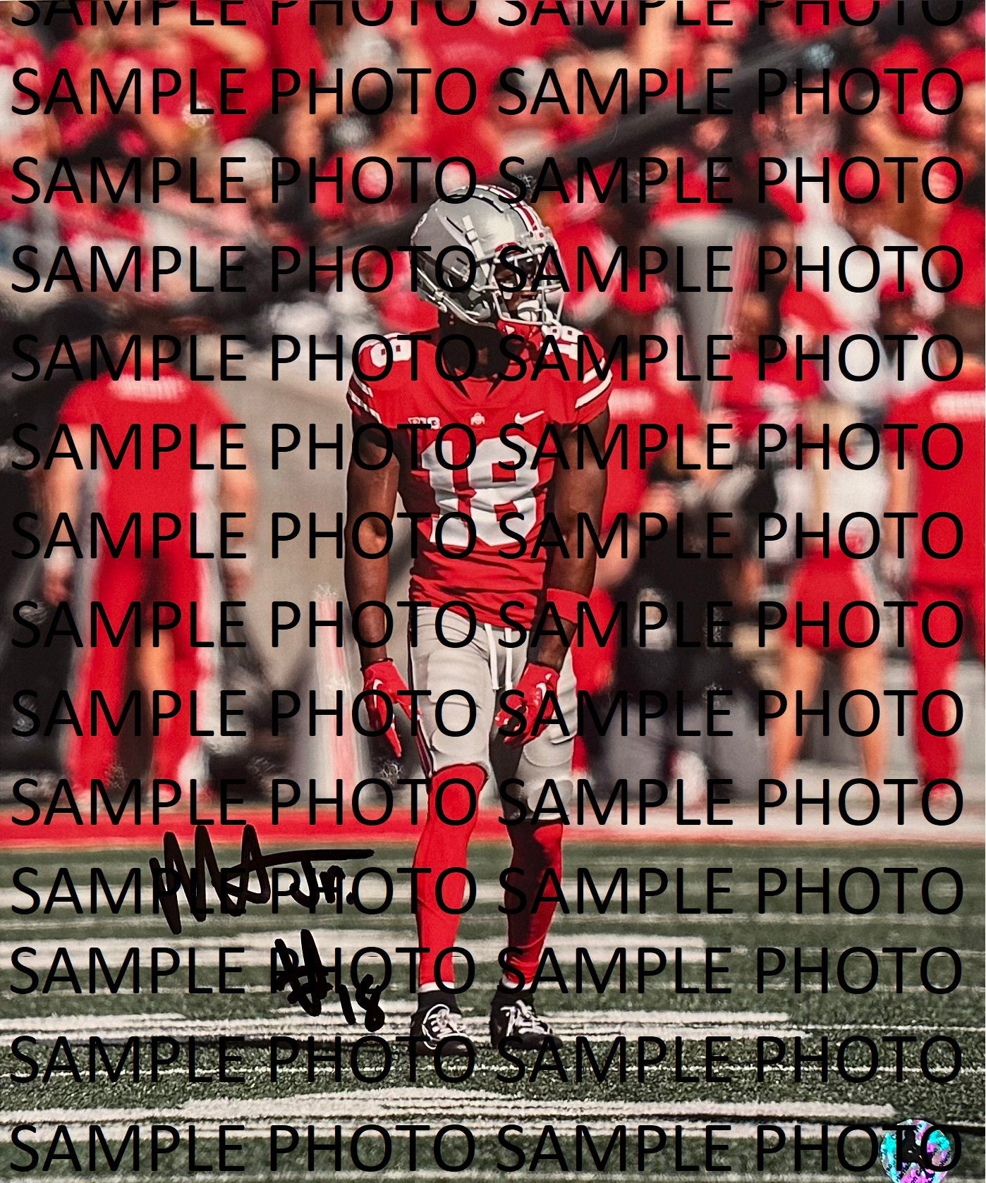 16x20 Marvin Harrison Jr Autograph Signed Photo RED