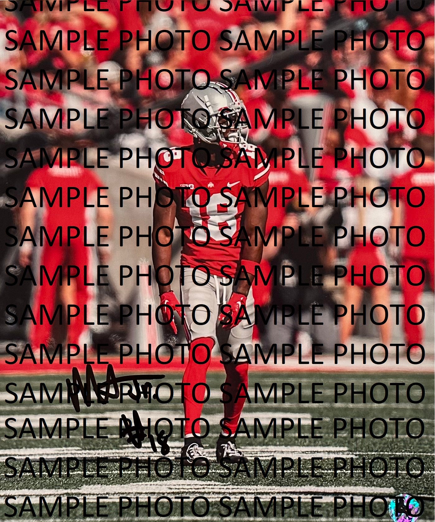 Marvin Harrison Jr 8x10 Autograph Signed Photo RED